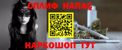 прущие грибы Ростов-на-Дону