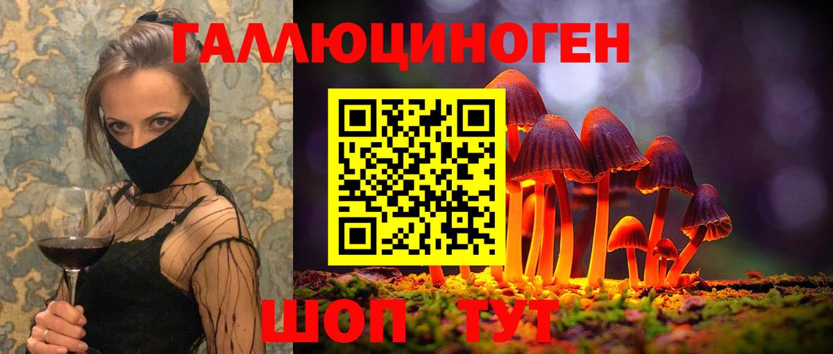 Псилоцибиновые грибы мицелий Ефремов