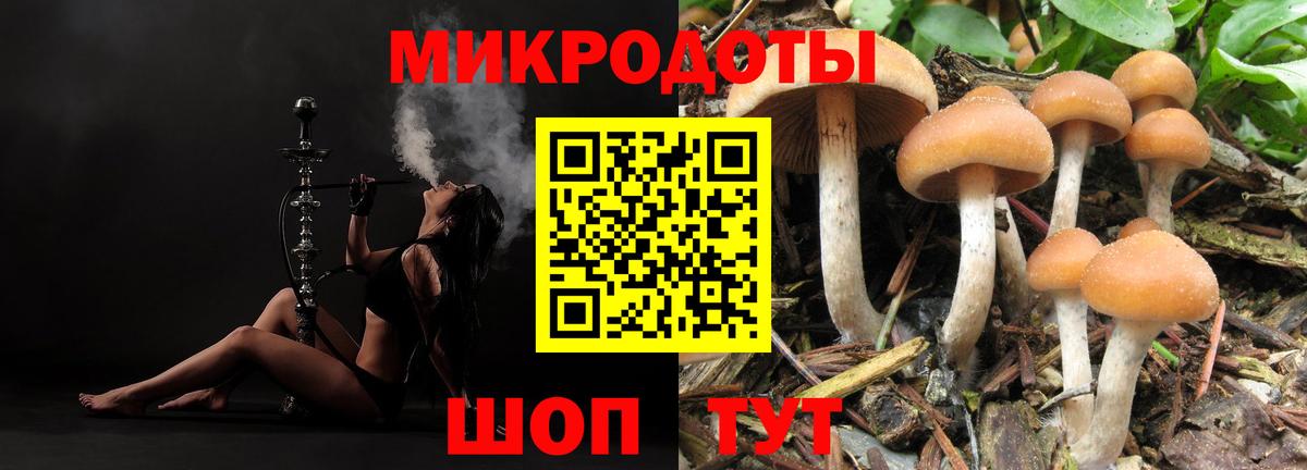 Ефремов  даркнет сайт  Вход с VPN  Галлюциногенные грибы мухоморы  Псилоцибиновые грибы MAGIC MUSHROOMS 